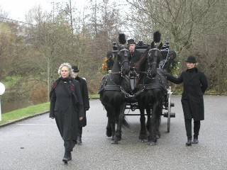 rouwkoets met friese paarden